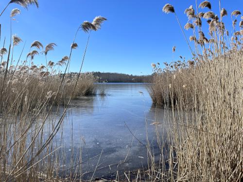 view of Cape Pond in February at South Woods in northeast MA
