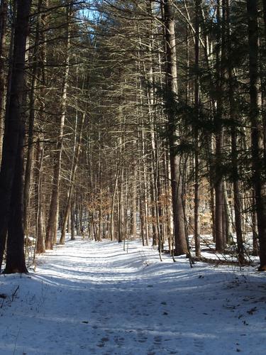 snowmobile trail at Spaulding Park Town Forest in southern New Hampshire
