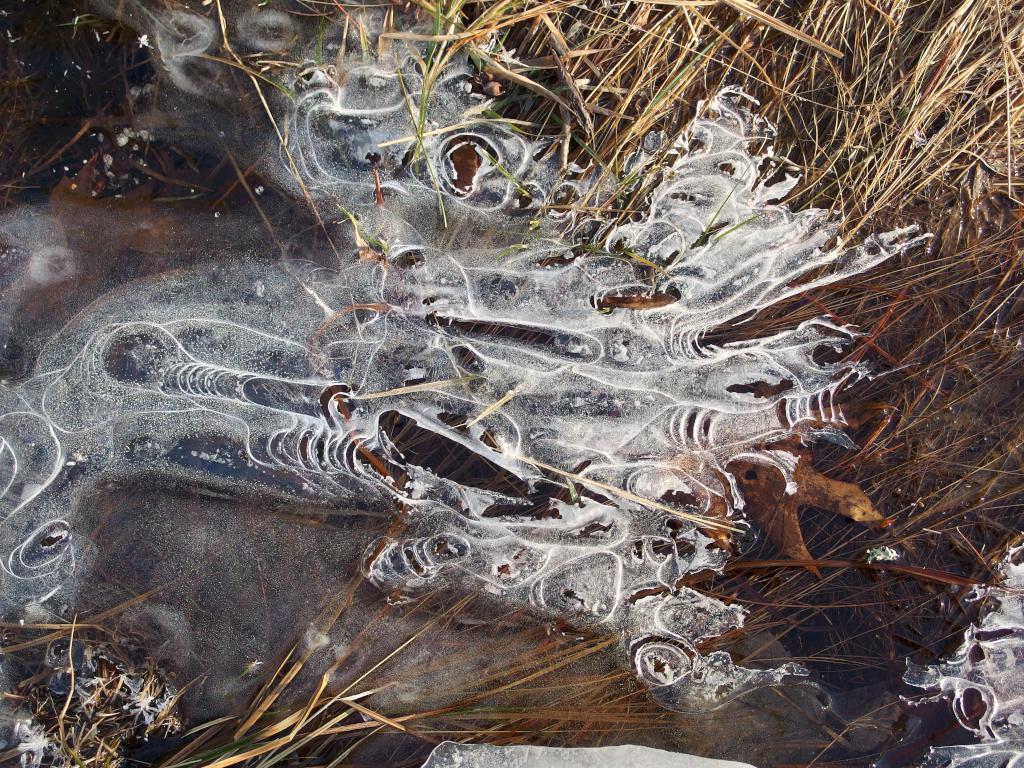 artistic ice pattern in January on the trail at Spears Park near Concord in southern New Hampshire