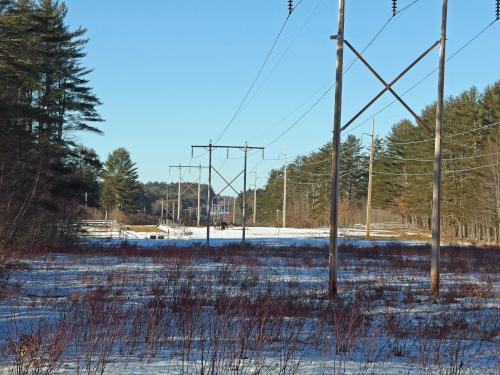 horses in January on the powerline swath at Spears Park near Concord in southern New Hampshire