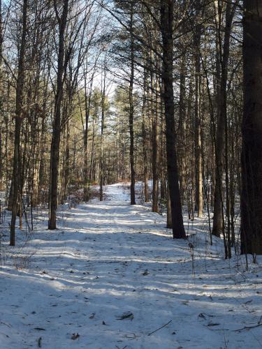 trail at Spears Park near Concord in southern New Hampshire