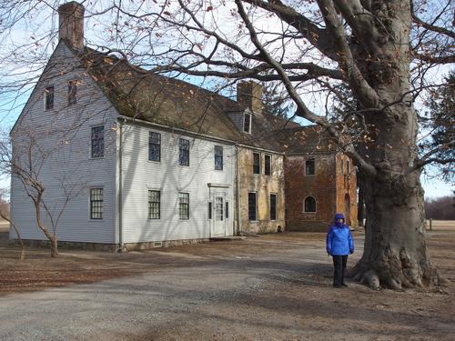 Betty Lou cozies up to a huge old Beech tree in front of the historic farmhouse on Spencer-Peirce-Little Farm at Newbury in eastern Massachusetts
