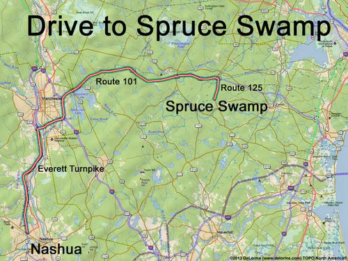 Spruce Swamp drive route
