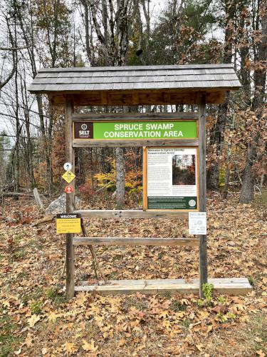 kiosk in November at Spruce Swamp in southern New Hampshire