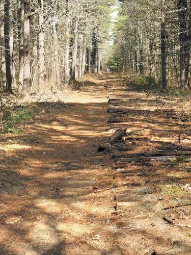 improved north section (in April 2021) of the Squannacook Rail Trail South in northeast MA