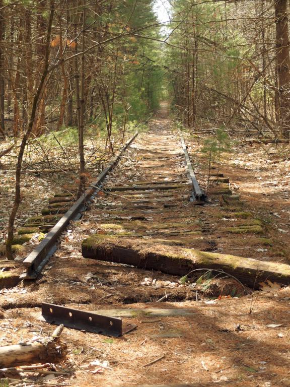 unimproved south section (in April 2021) of the Squannacook Rail Trail South in northeast MA