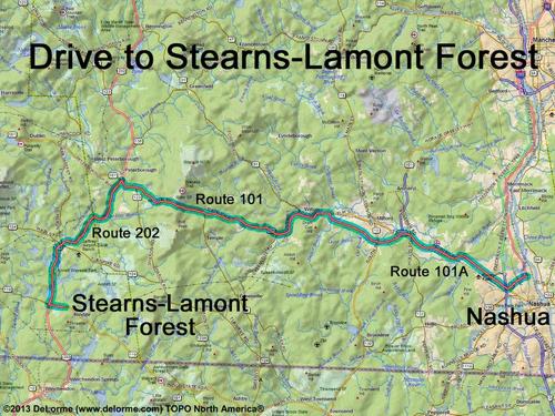 Stearns-Lamont Forest drive route