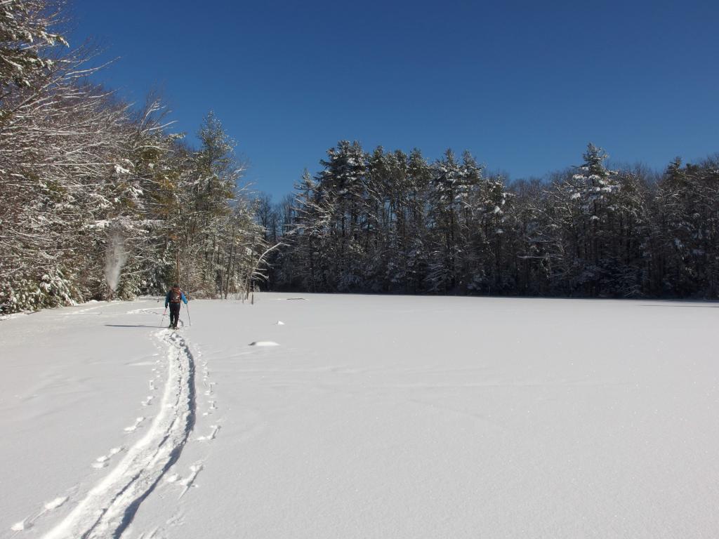 Dick snowshoes in January at Stearns-Lamont Forest near Rindge in southern New Hampshire