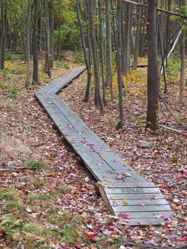 boardwalk on the trail to Osgood Hill at North Andover in Massachusetts