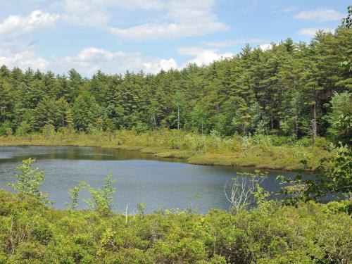 Little Round Pond in June at Stonehouse Forest in southeastern New Hampshire