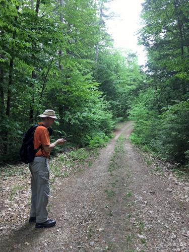 Marison Trail at Stonehouse Forest in southeastern New Hampshire