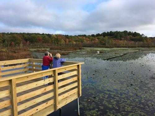 new boardwalk at Stony Brook Wildlife Sanctuary in Massachusetts