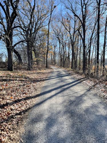 driveway in November at Strawberry Hill and Greenwood Farm in northeast Massachusetts