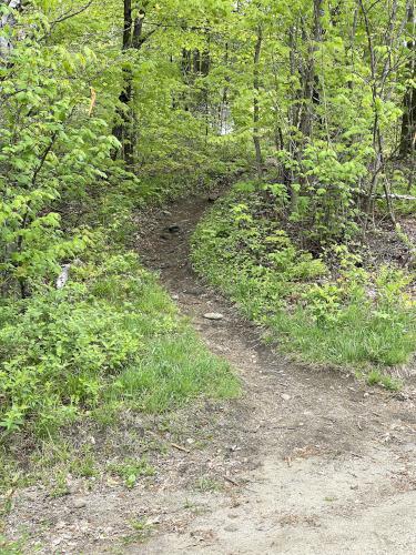 trail start in May at Streaked Mountain in western Maine