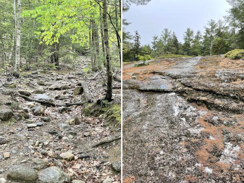 trail sections in May at Streaked Mountain in western Maine