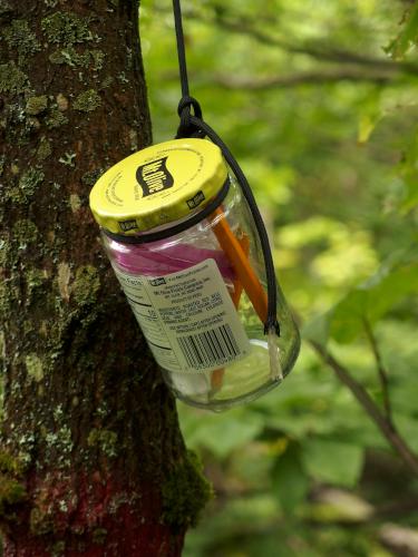 summit hiker-register jar at Sugar Mountain in northern New Hampshire