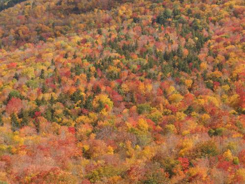 color in late September as seen looking down from Middle Sugarloaf Mountain in New Hampshire