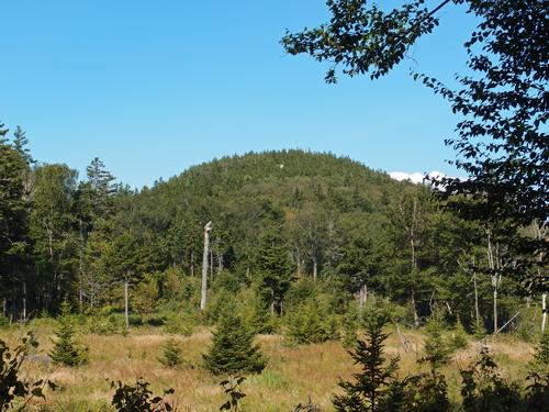 view from a mountain col bog of Sugarloaf Mountain in western New Hampshire