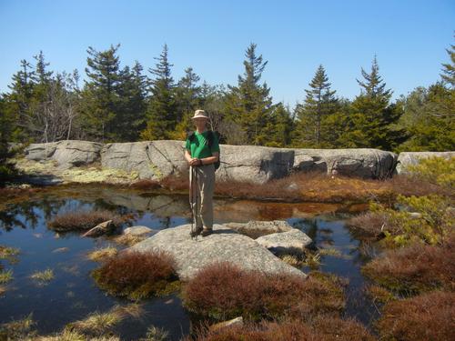 Fred in a puddle on Swett Mountain in New Hampshire