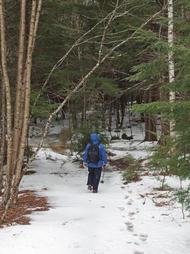 Andee heads into the woods at Terninko Boulder Loop Trail in New Hampshire
