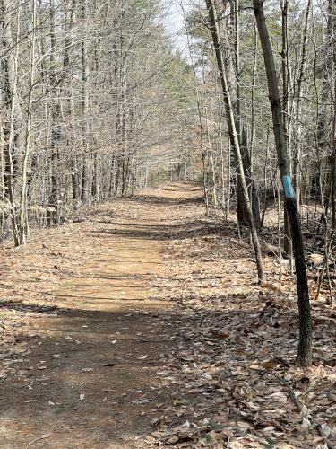 trail in March at Little Tooky Trail near Hopkinton in southern New Hampshire