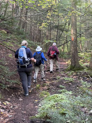trail in September at Tophet Chasm in northeastern Massachusetts