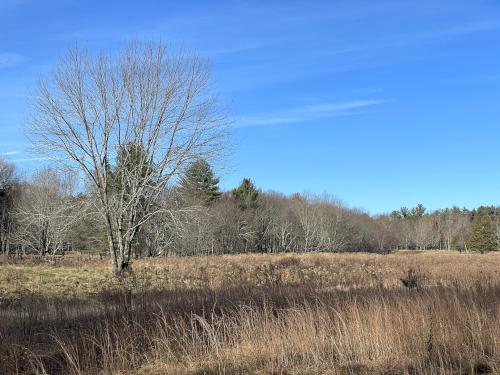 field in November at Towle Land in northeast Massachusetts