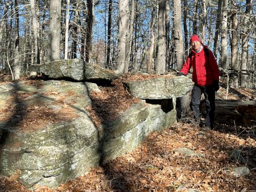 turtle rock in November at Towle Land in northeast Massachusetts