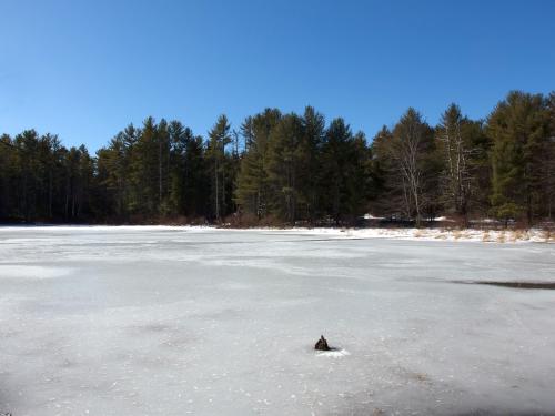 pond in March at Townsend State Forest in northeast Massachusetts