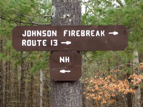 sign in March at Townsend State Forest in northeast Massachusetts