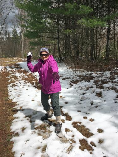 Andee tosses a snowball in April at Trescott Lands in southwest New Hampshire