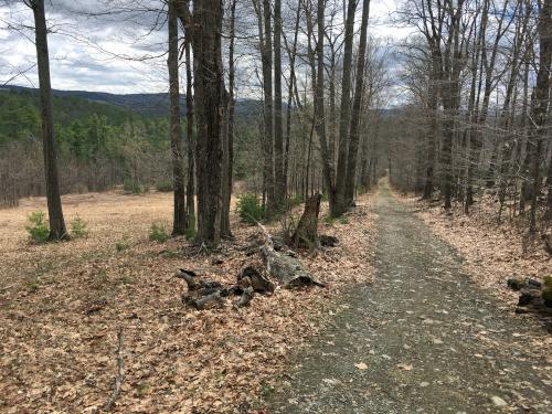 trail in April at Trescott Lands in southwest New Hampshire