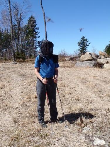 hiker wearing a headnet in black-fly season on the Trout-n-Bacon Trail in southwestern New Hampshire