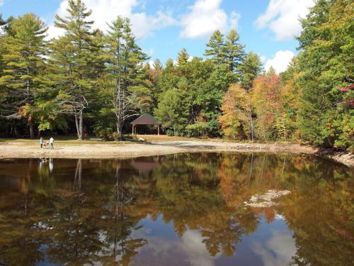 pond in October at Trout Brook Reservation at Holden in eastern Massachusetts