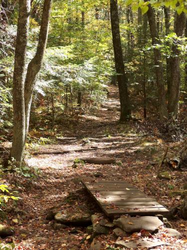 trail in October at Trout Brook Reservation at Holden in eastern Massachusetts