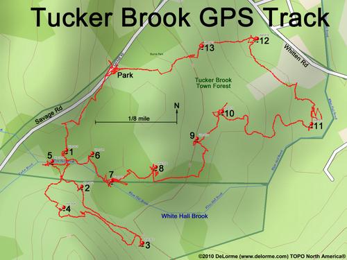 GPS track through the Orienteering Course at Tucker Brook Town Forest in southern New Hampshire