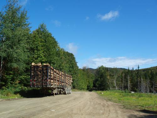 active logging on the lumber road to West Tucker Mountain in New Hampshire
