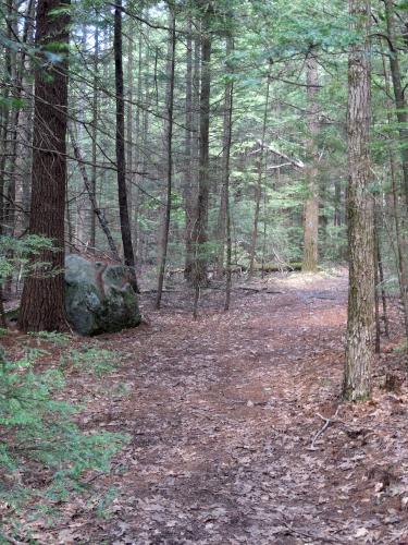 trail to Tully Mountain in north central Massachusetts