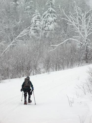 a winter hiker on the trail to Tumble Dick Mountain in New Hampshire