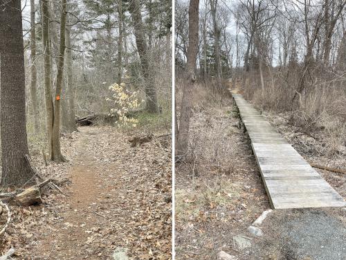 trails in March at Turkey Hill and Weir River Farm in eastern Massachusetts
