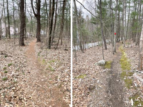 trails in April at Turkey Hill Area in eastern MA