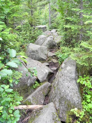 rocky section of trail up to South Turner Mountain in Maine