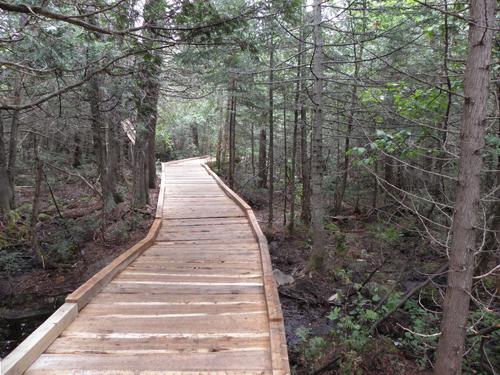boardwalk on the Sandy Stream Pond Trail to South Turner Mountain in Maine