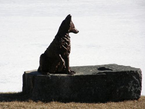 bronze fox statue by Shannon Pond in New Hampshire