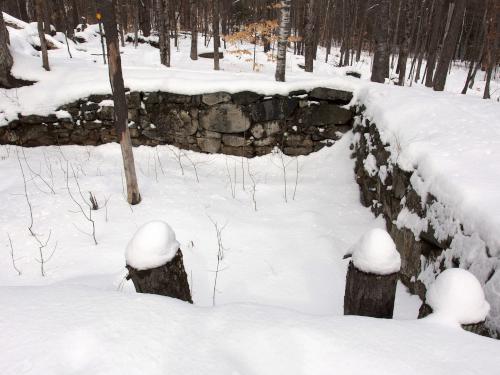 foundation in February at Tuthill Woodlands Preserve in southern New Hampshire