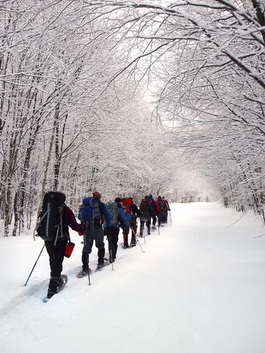winter hikers on the access road to North Twin Mountain in New Hampshire