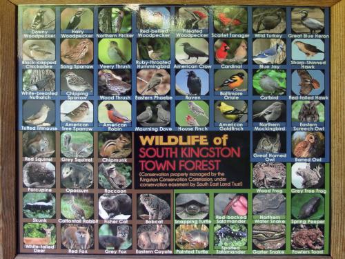photo collage on the kiosk at Valley Lane Town Forest at Kingston in southern New Hampshire