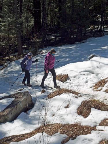 trail in March at Velvet Rocks Peak in southwest New Hampshire