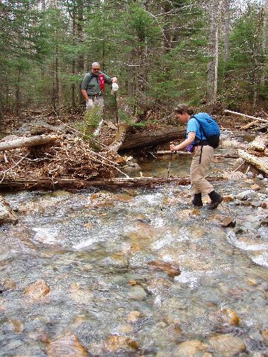 hikers crossing Carrigain Brook in New Hampshire