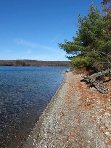 a section of beach at Wachusett Reservoir in northeastern Massachusetts